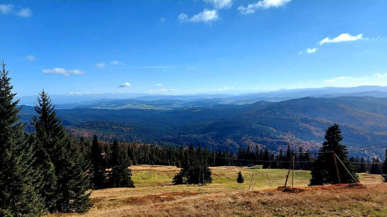 Pokoje Pod Szyndzielnia Bielsko-Biała Exterior foto